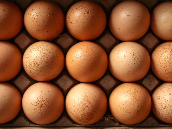Protein, cholesterol, energy... what happens if you eat eggs every day?