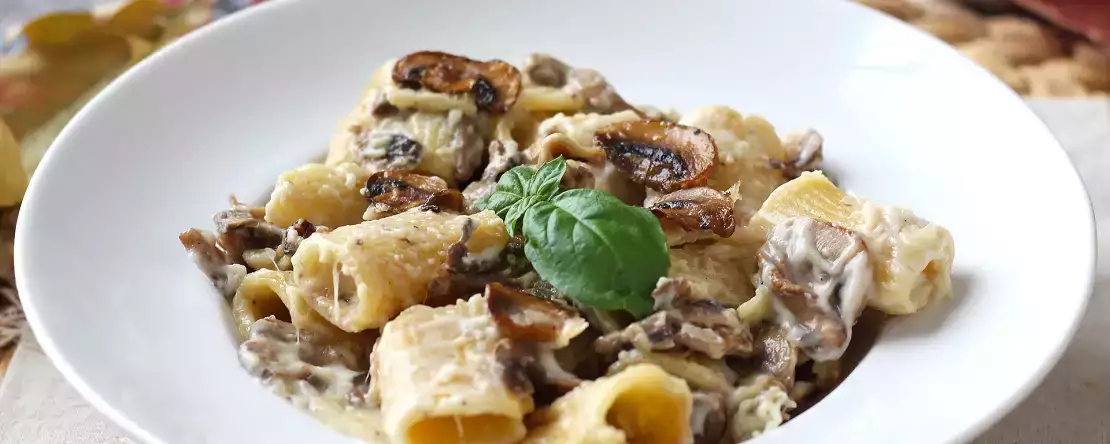 Creamy pasta with mushrooms and cream: a simple first course with authentic flavor