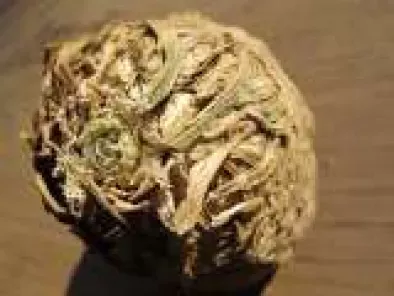 Celery Root: the vegetable that looks like a brain.