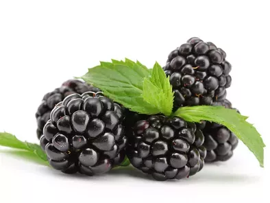recipes blackberry