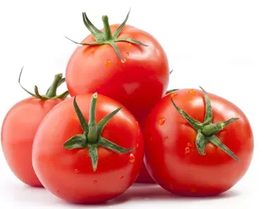 recipes tomato