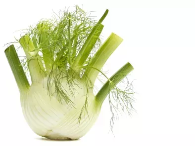 recipes fennel