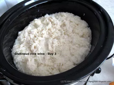 Home Brewing - Glutinous Rice Wine