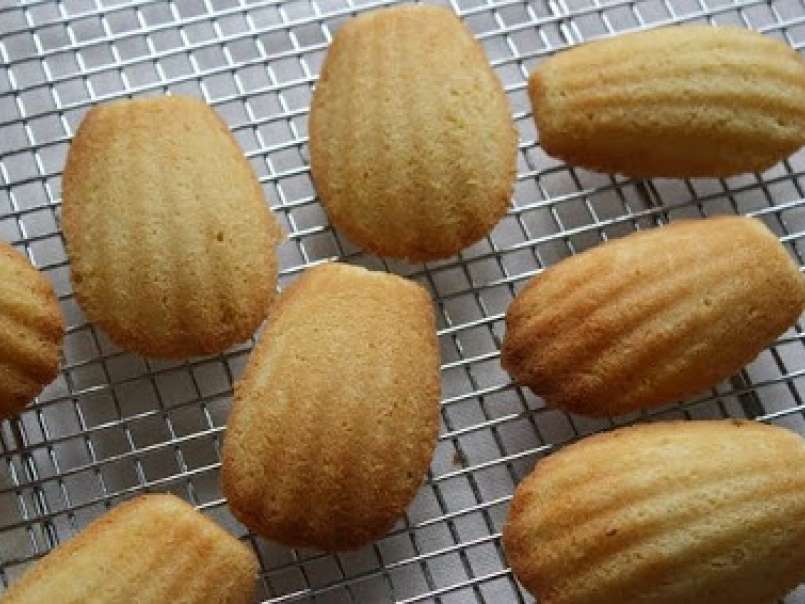 Orange Blossom Madeleines . . . Are They On Your List? - photo 2