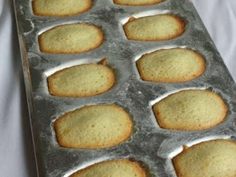 Orange Blossom Madeleines . . . Are They On Your List? - photo 3
