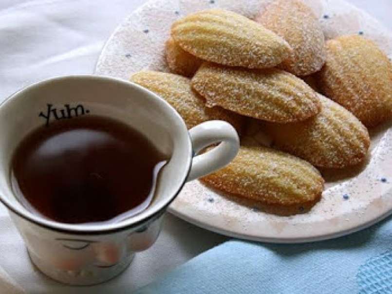 Orange Blossom Madeleines . . . Are They On Your List? - photo 4