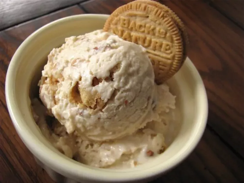 Peanut Butter Cookie Frozen Yogurt - photo 3