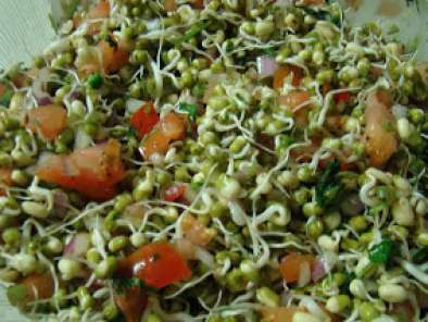 Sprouted Moong Bean Salad. - photo 2