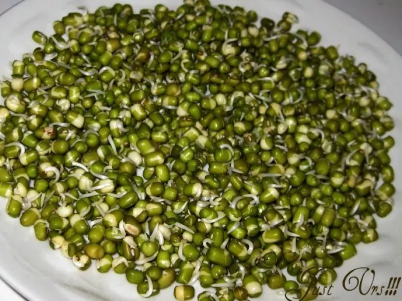 Sprouted Moong Curry - photo 2