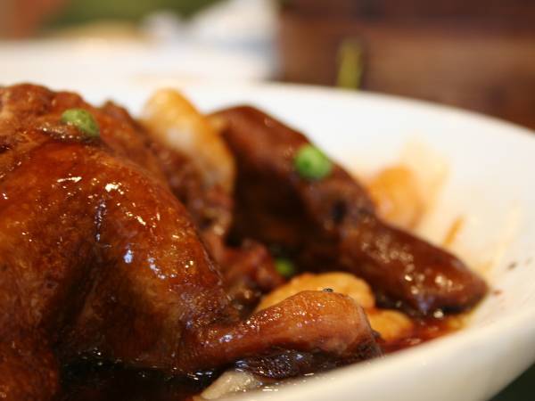 Duck