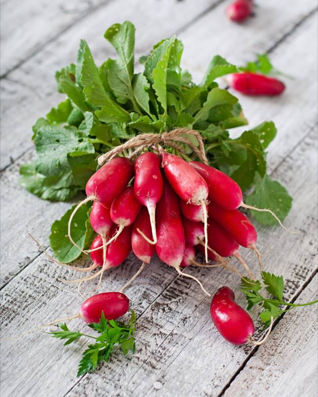 4. Radish