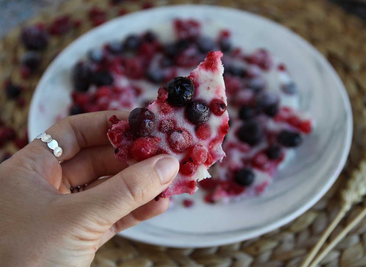 4. Frozen yogurt snack bars