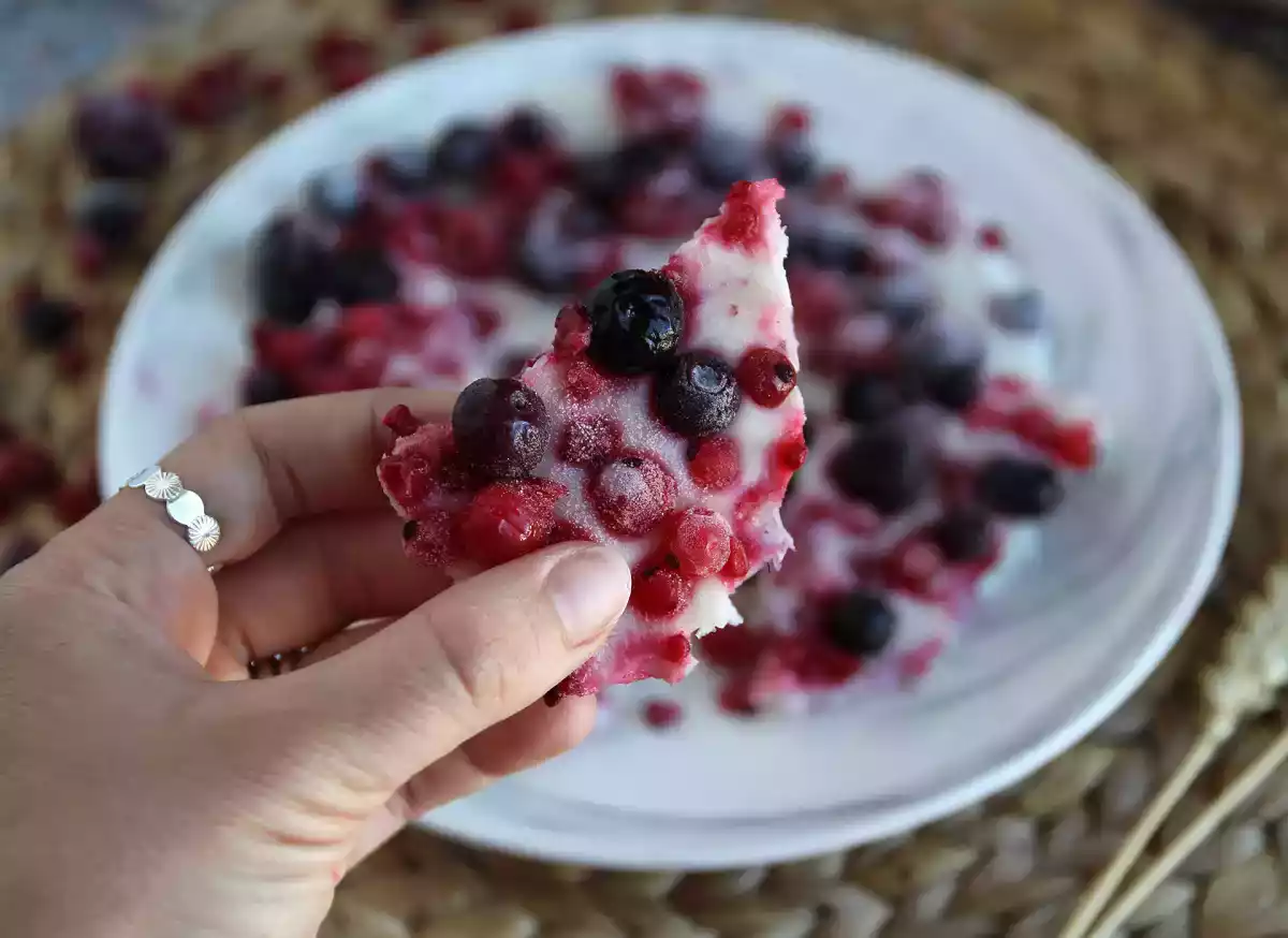 4. Frozen yogurt snack bars