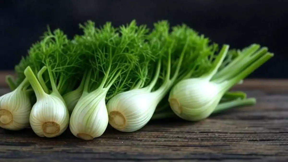 What happens to the body when we eat fennel every day?