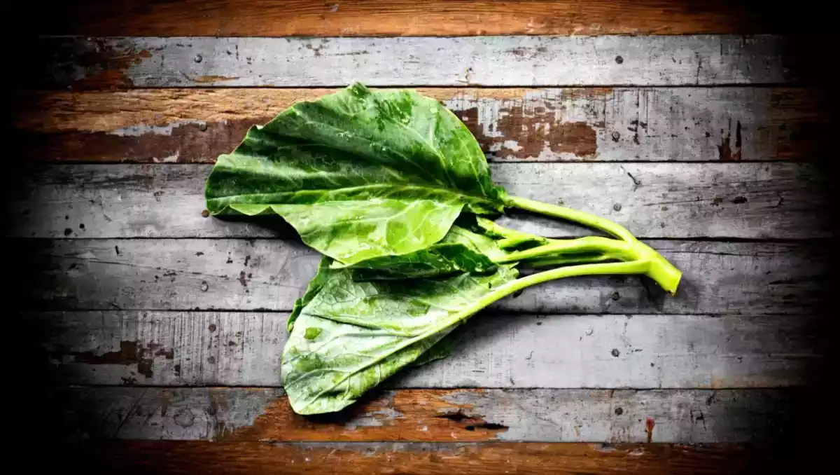 This vegetable has more iron than spinach! Have you tried it?