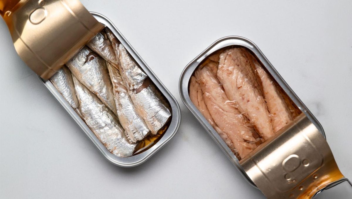 The return of tinned sardines: why this little fish has everything going for it
