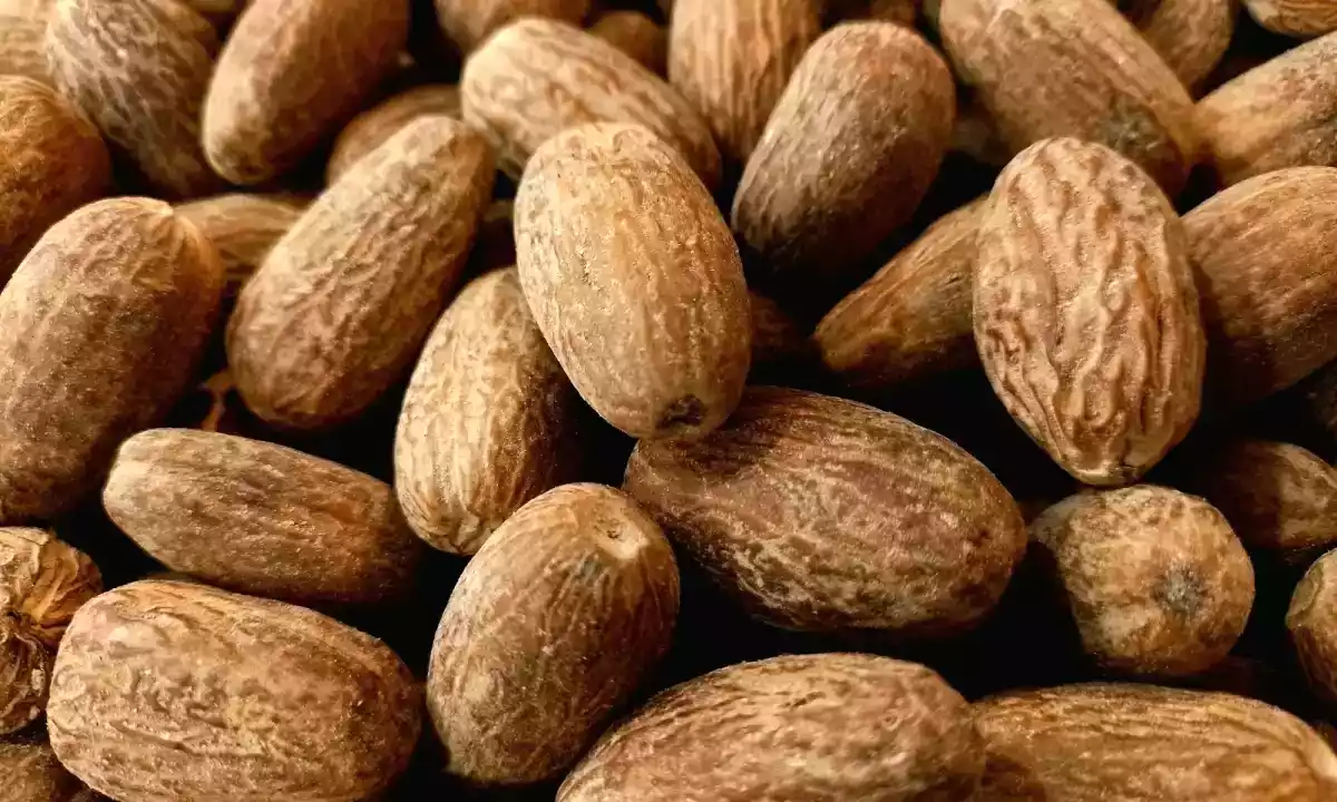Nutmeg and hallucinations: truth or urban legend?
