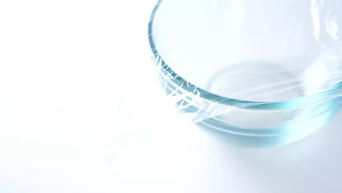 Microplastics: how to get rid of them in your kitchen