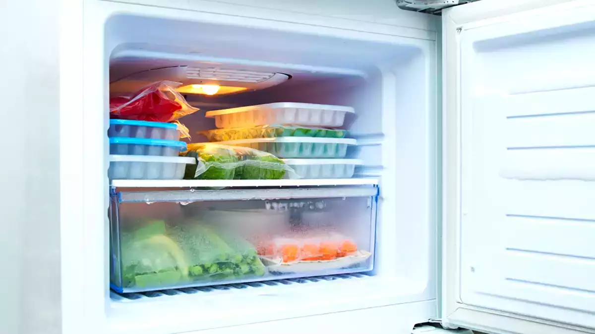 Why forgetting to leave the freezer door open could lead to serious health concerns in your kitchen