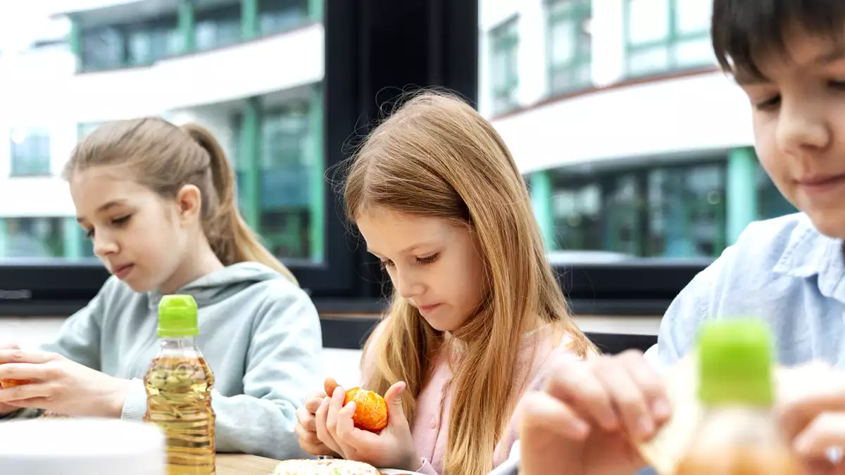 The most popular fish on school menus, banned in France due to its toxicity: are you concerned too?