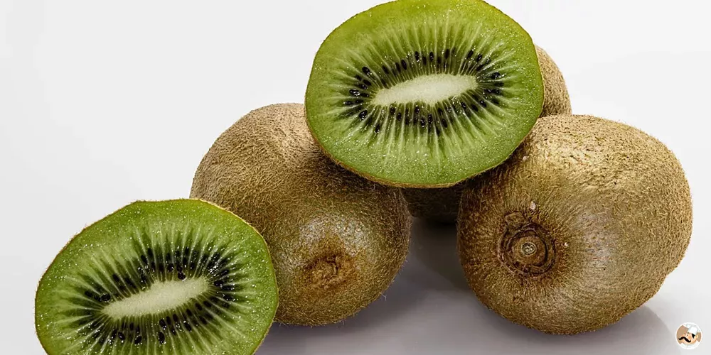 How to choose a kiwi fruit?