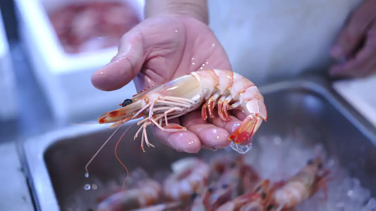 Signs that help you recognize a fresh shrimp when you go to buy it