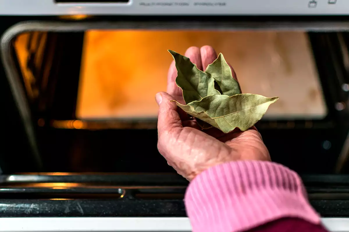 The bay leaf, the forgotten trick to keep an oven spotless without effort