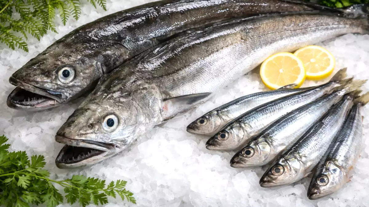 All European hake has anisakis: How to avoid risks at Christmas without changing the menu