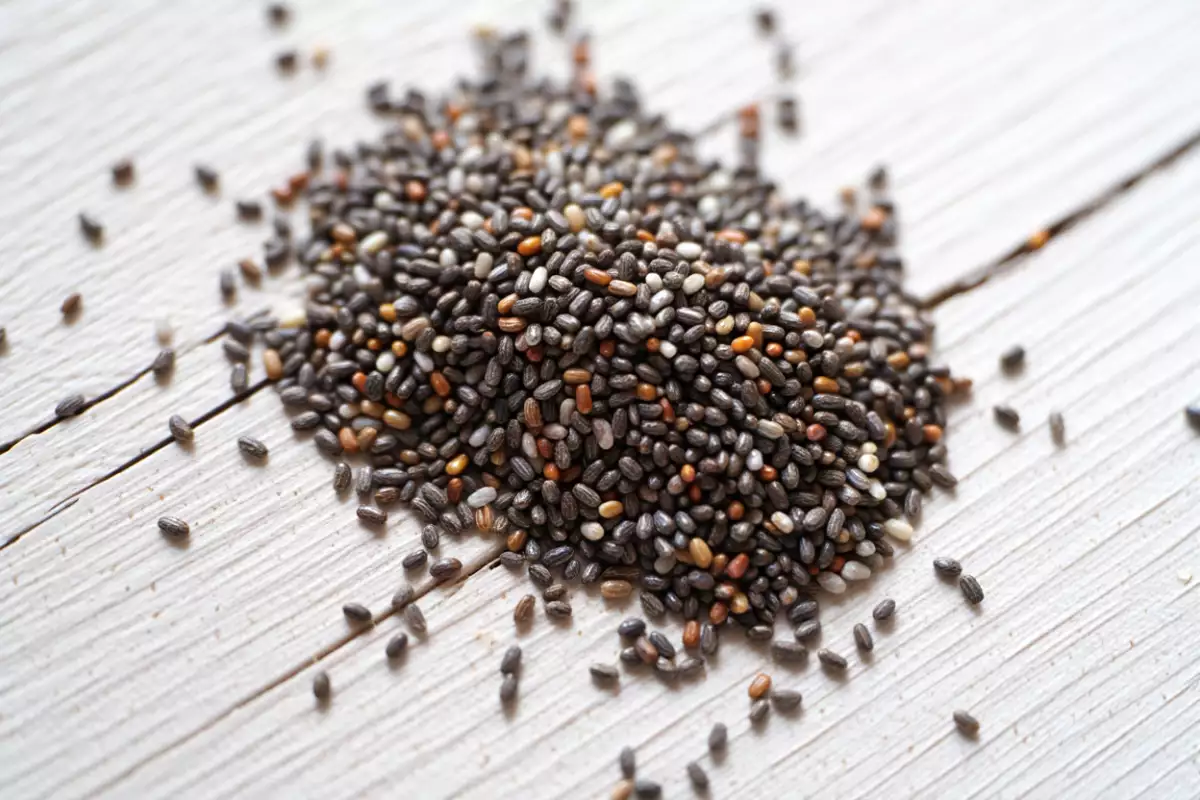 Germinating chia seeds: why, how and where to use them