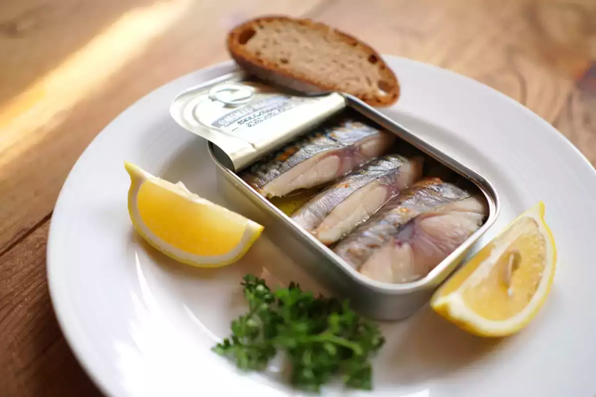 Is canned mackerel good for you? All its benefits under the microscope