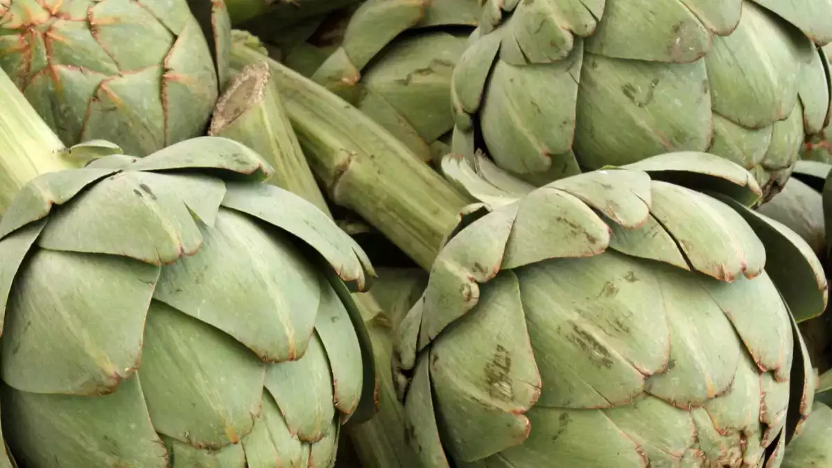 How to microwave an artichoke quickly and safely