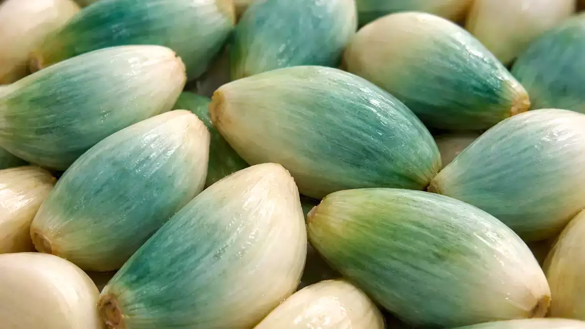 Green or blue garlic in your kitchen? Many people throw it away without understanding what it really means