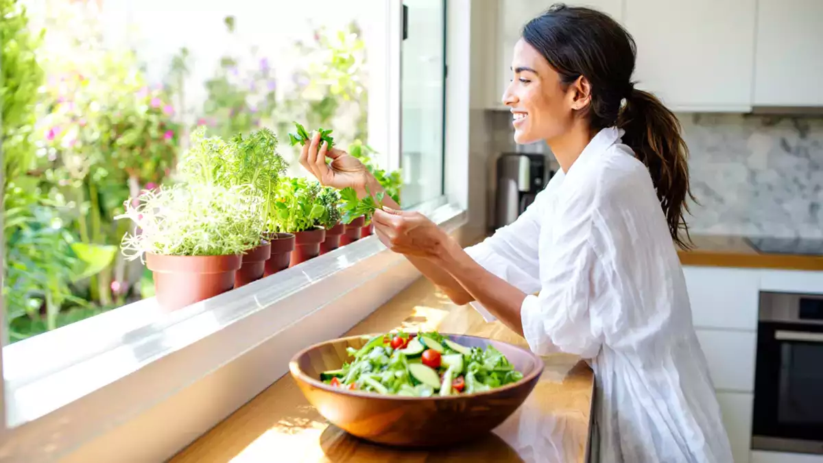 Discover which herbs thrive indoors and which need sunshine