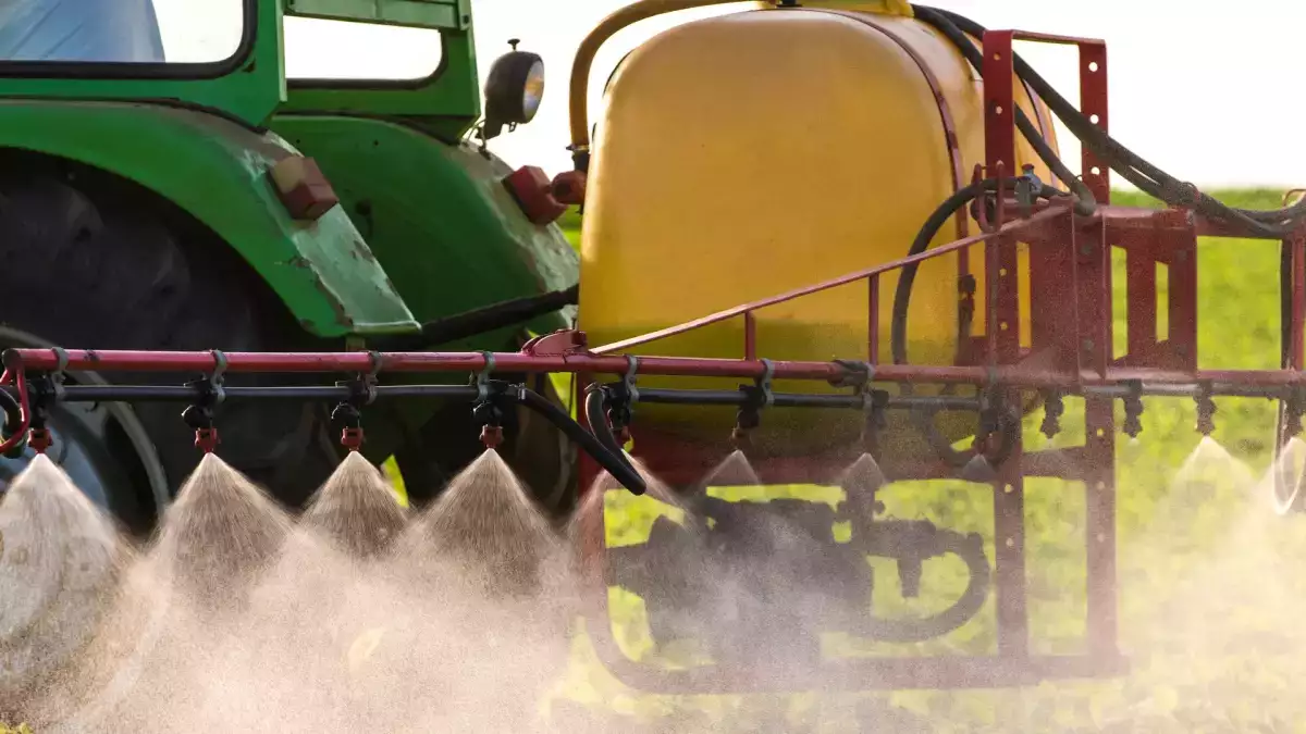 Can eating organic really reduce cadmium exposure? Anses' statement and why it's sparking debate