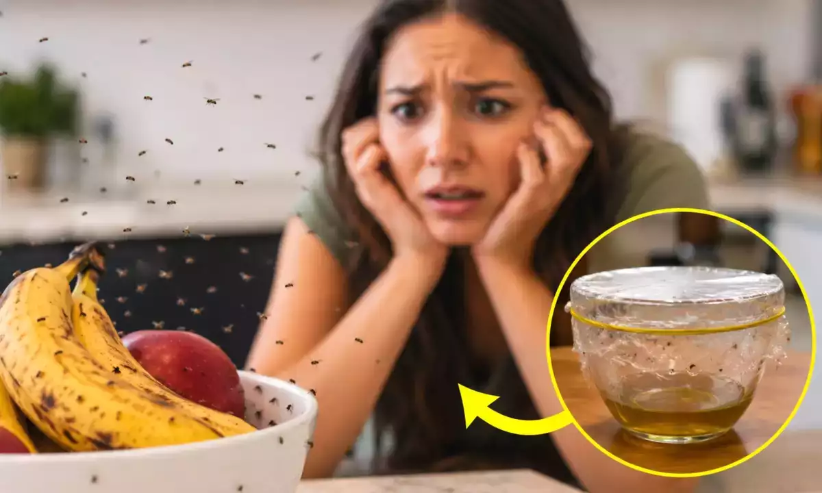 How to banish kitchen midges overnight with a natural, chemical-free remedy anyone can use tonight