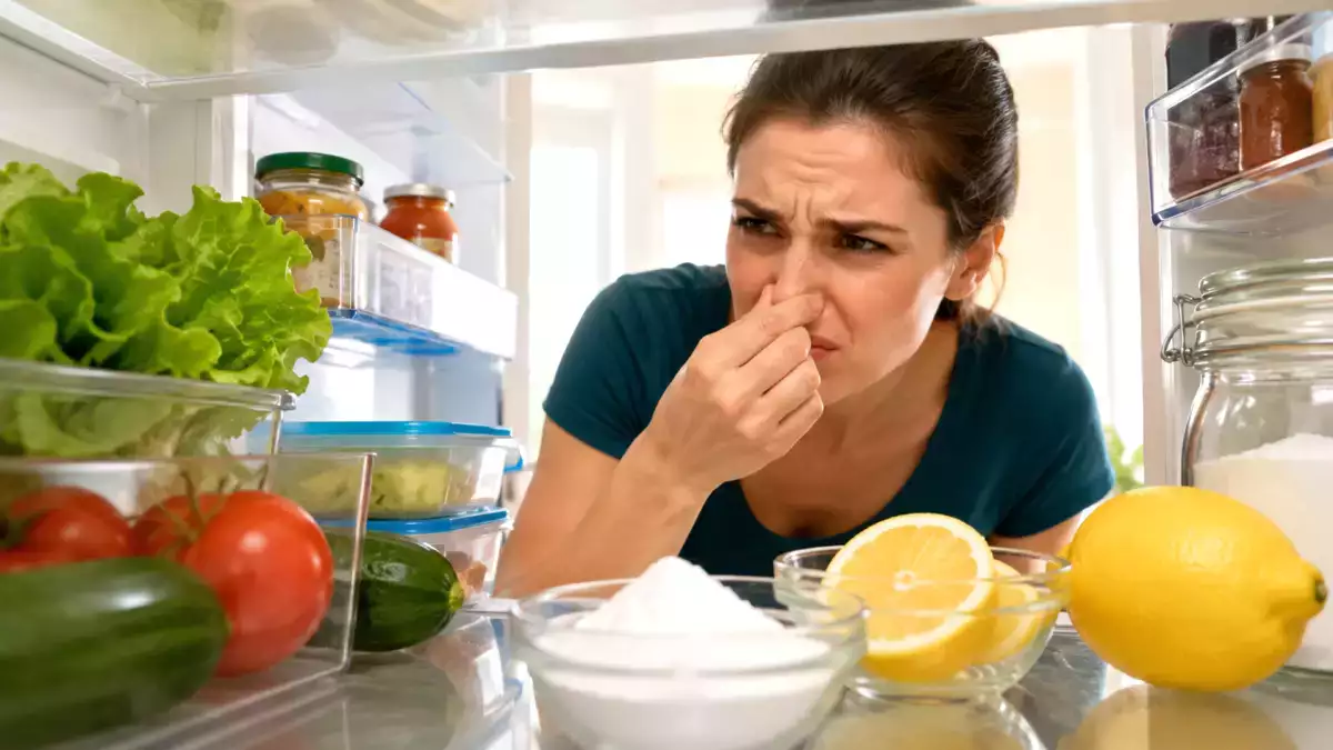 How Italian grandmas quietly banish refrigerator smells using a simple natural trick, no chemicals