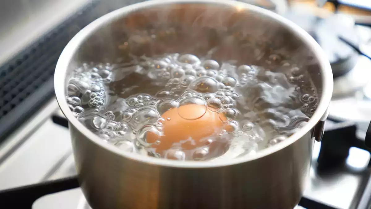 Cold water, boiling water, or a hot pan: which way to cook an egg gives the best texture and taste?