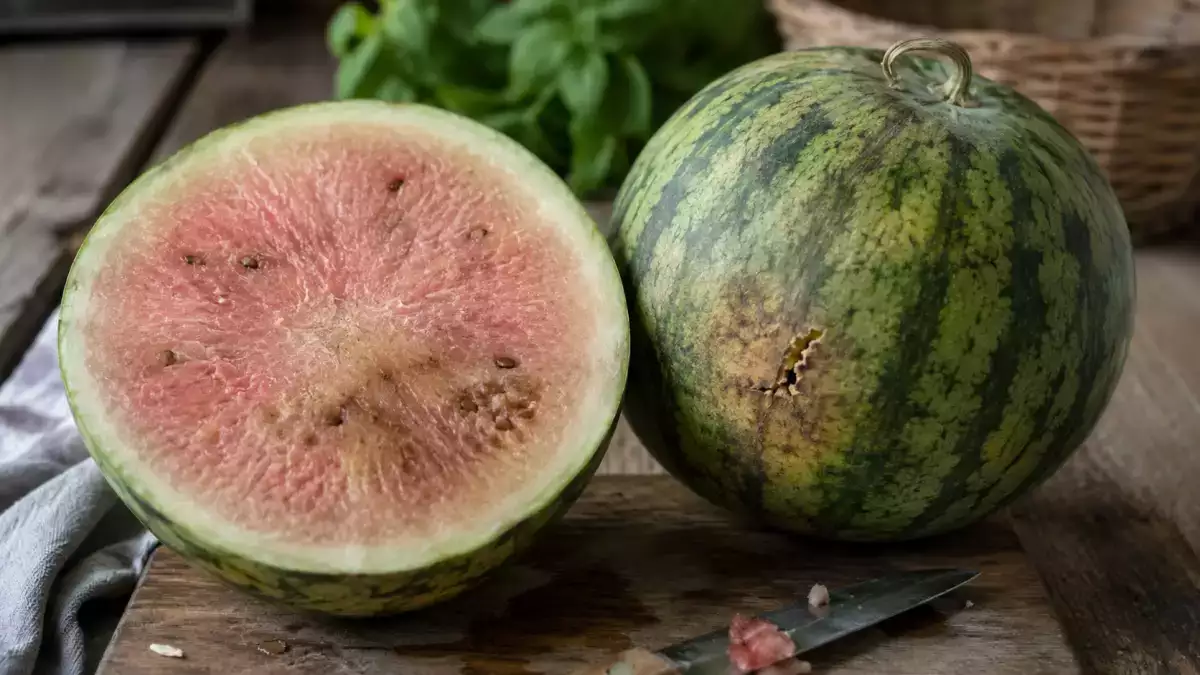Don't buy a bland watermelon: how to spot an unripe melon with easy visual and sound checks