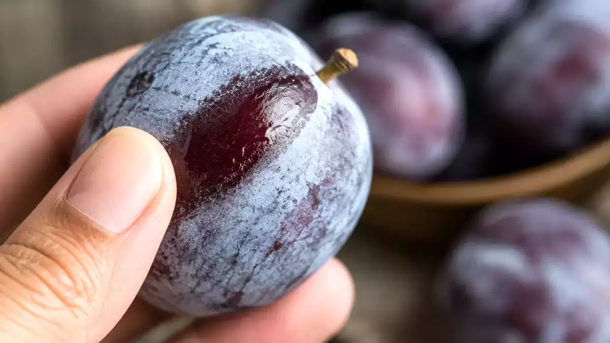That whitish film on plums: why it looks like dust and what it actually means for freshness