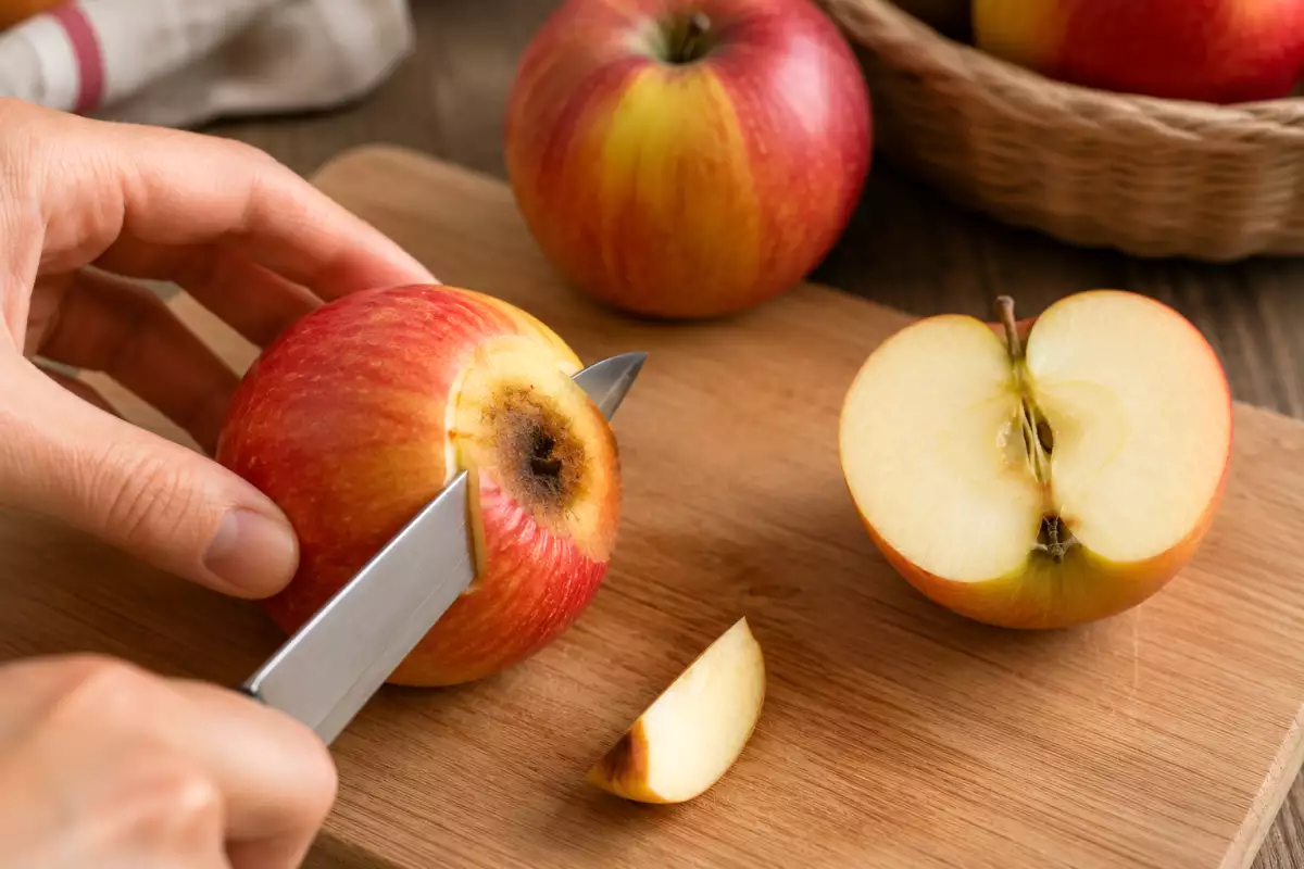 Can you safely eat fruit with mold after cutting away the spoiled part, or should you discard it?