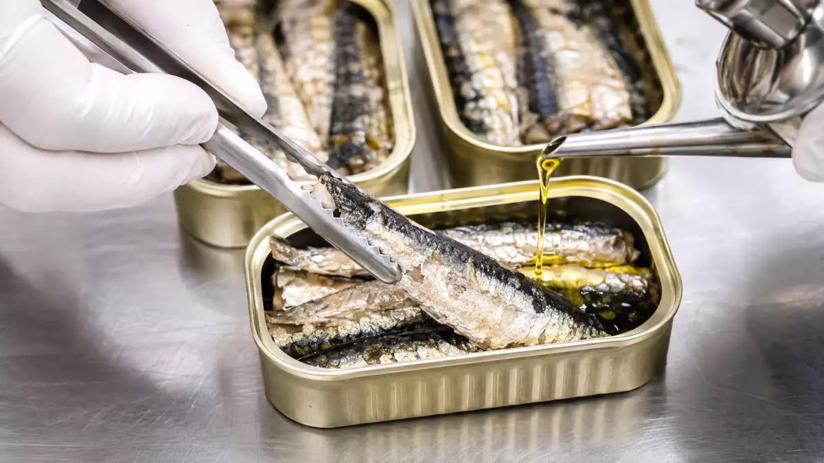 What people learned about how canned sardines are made left many surprised: the truth revealed