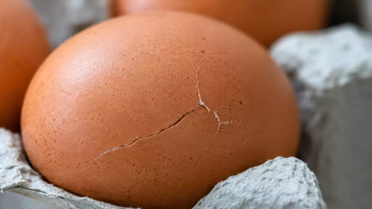 Small crack in an egg: the one detail that changes everything: what to look for before you eat it