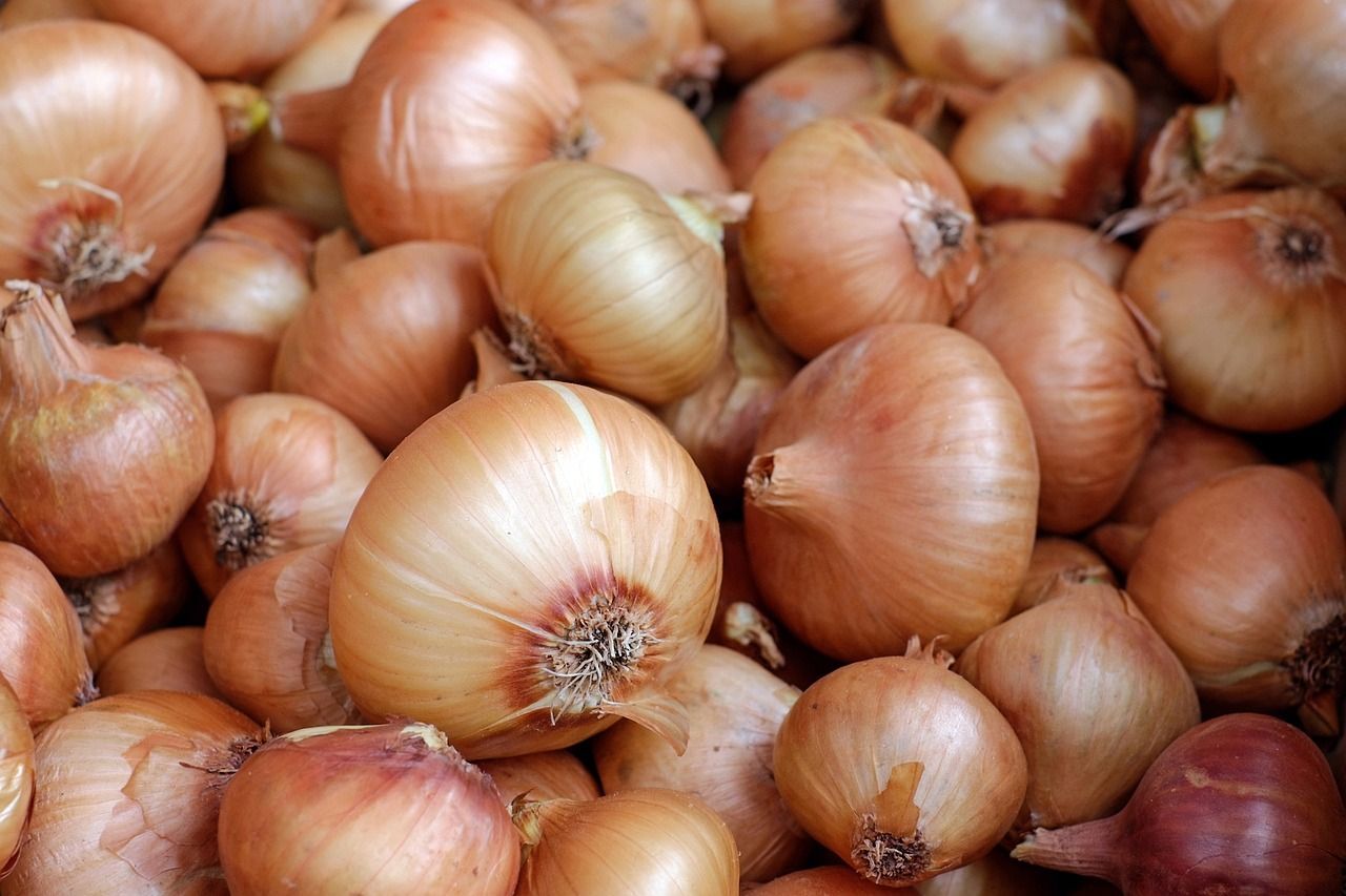 Anti-waste: find out why you shouldn't throw away onion peels!