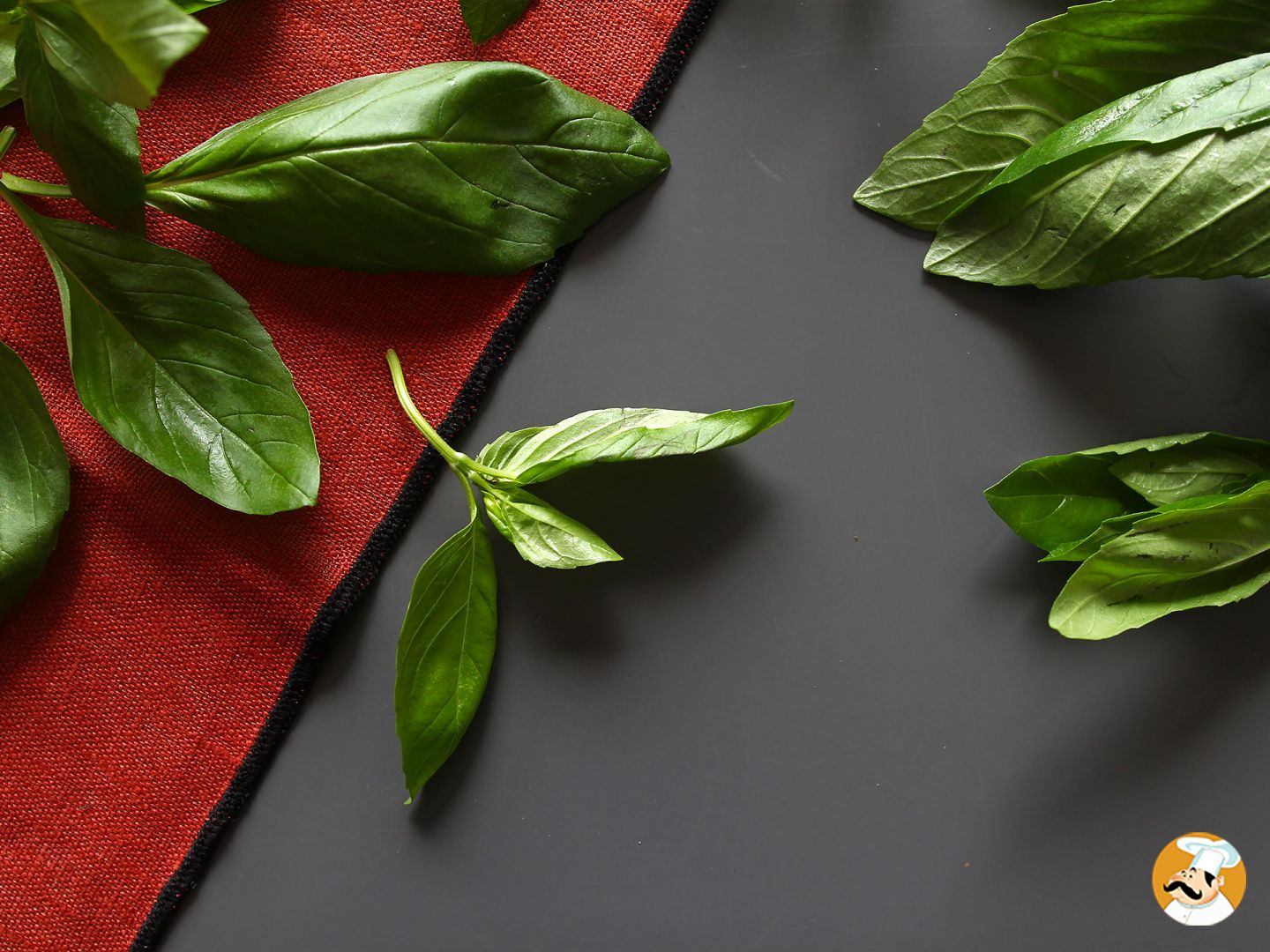 How do you prolong the freshness of your herbs? We explain it all!