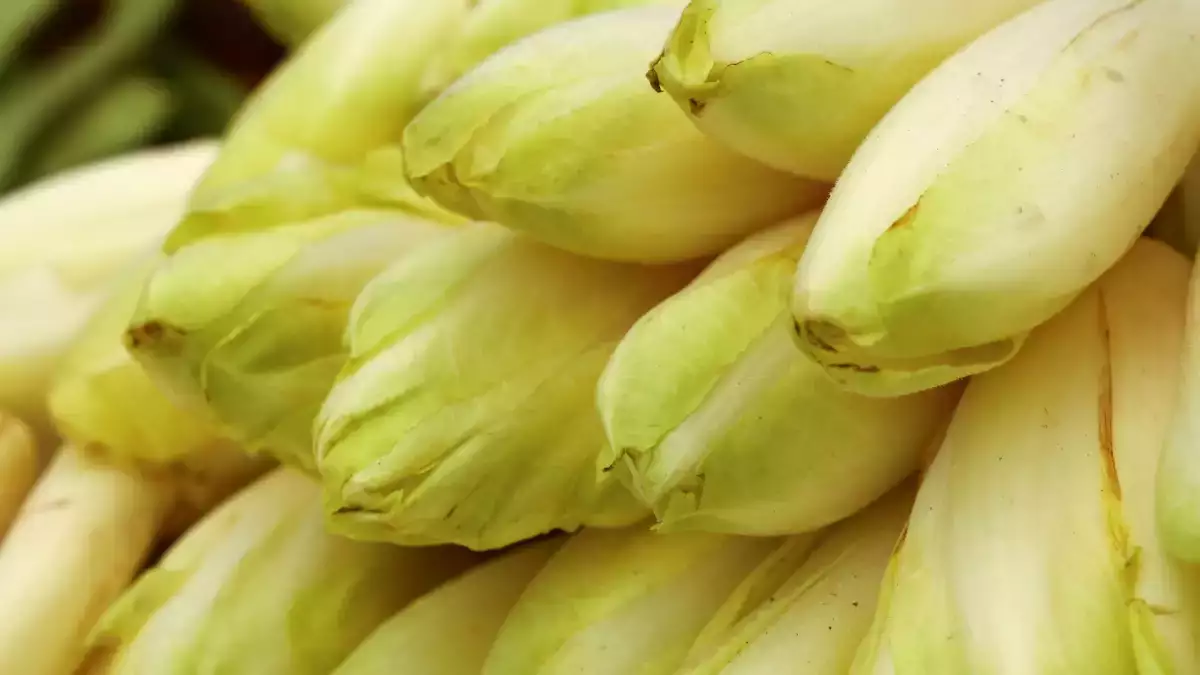 Keep endives from watering down your gratin: easy tips to prevent excess liquid while baking
