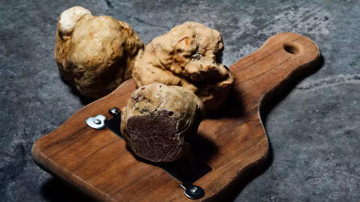From purchase to plate: how to clean a truffle without diminishing its aroma