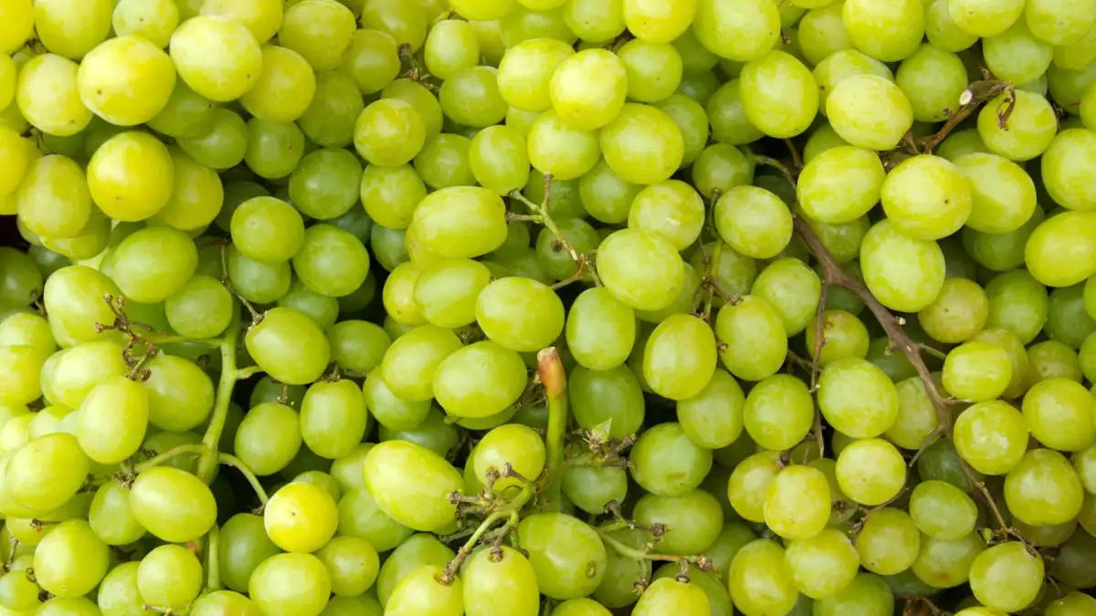 Grapes go soft after a few days: these 4 tips really make a difference in how long they last...