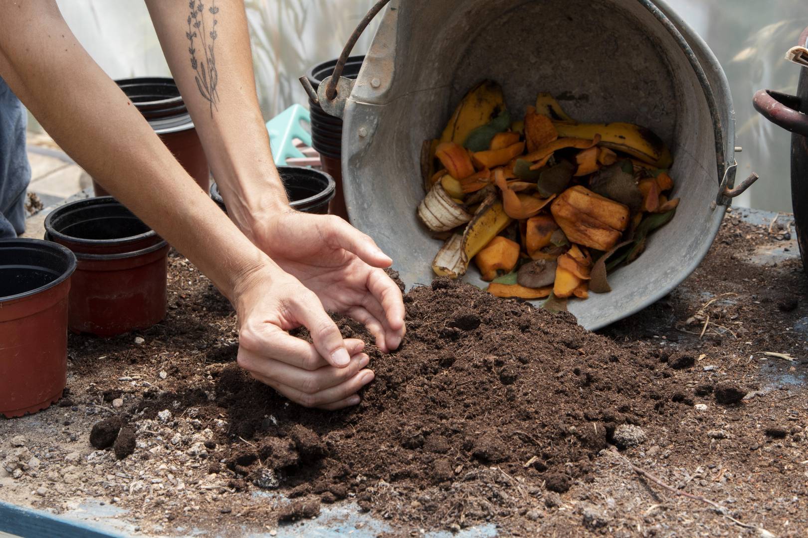 These 5 foods you shouldn't put in your composter