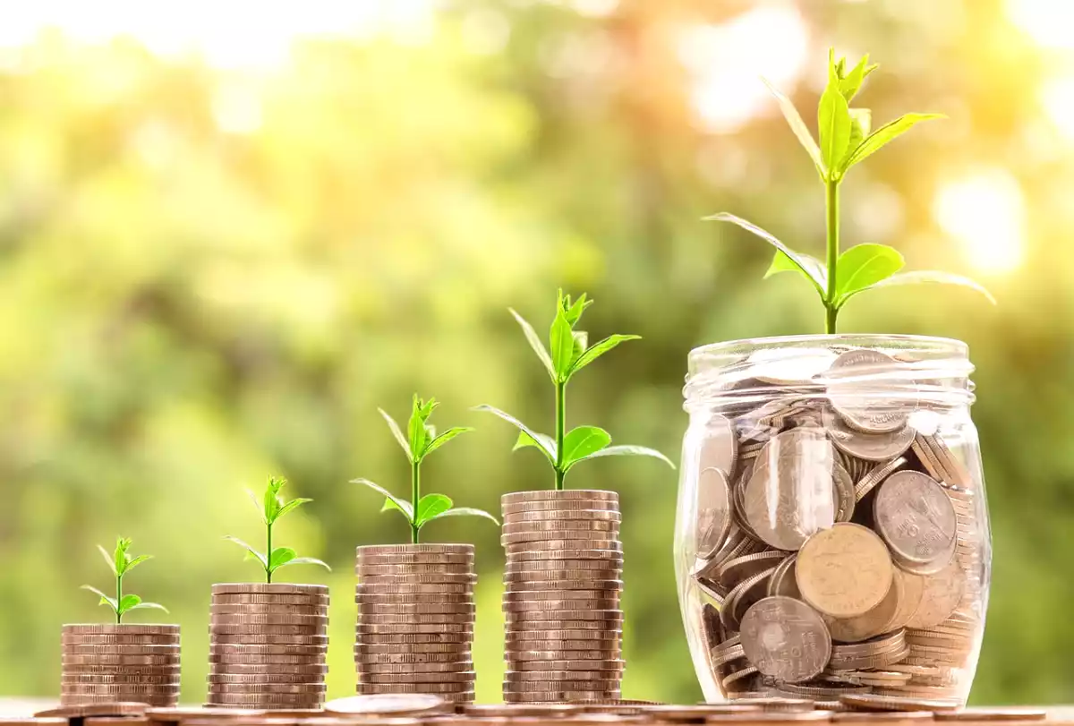 Healthy eating without breaking the bank: discover the most economical foods to choose!