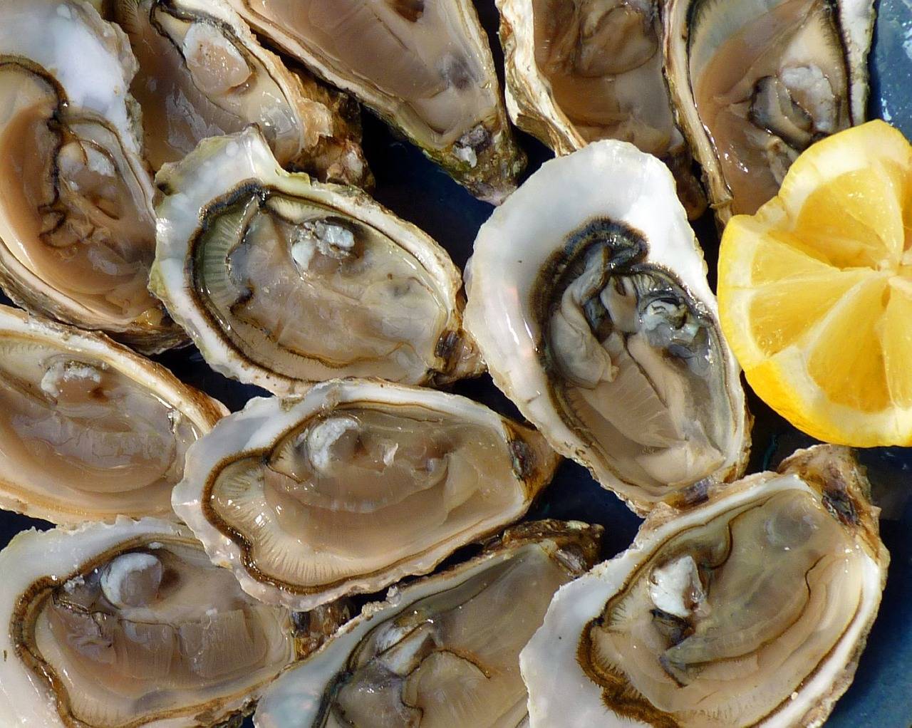 How to open oysters safely and easily?